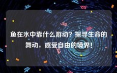 鱼在水中靠什么游动？探寻生命的舞动，感受自由的境界！
