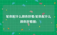 驼色配什么颜色好看(驼色配什么颜色好看图)
