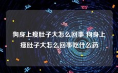 狗身上瘦肚子大怎么回事 狗身上瘦肚子大怎么回事吃什么药