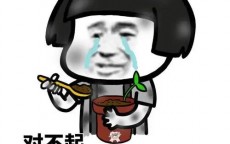 lv neonoe水桶包怎么样(lv水桶包neonoe哪一年出的)