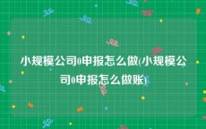 小规模公司0申报怎么做(小规模公司0申报怎么做账)