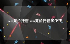 sem竞价托管 sem竞价托管多少钱