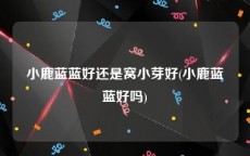 小鹿蓝蓝好还是窝小芽好(小鹿蓝蓝好吗)