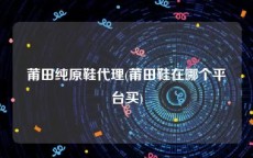 莆田纯原鞋代理(莆田鞋在哪个平台买)