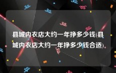 县城内衣店大约一年挣多少钱(县城内衣店大约一年挣多少钱合适)
