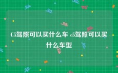 C5驾照可以买什么车 c5驾照可以买什么车型