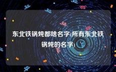 东北铁锅炖都啥名字(所有东北铁锅炖的名字)
