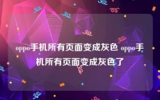 oppo手机所有页面变成灰色 oppo手机所有页面变成灰色了
