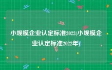 小规模企业认定标准2022(小规模企业认定标准2022年)