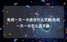 乳房一大一小适合什么文胸(乳房一大一小怎么选文胸)