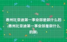 惠州比亚迪第一事业部是做什么的(惠州比亚迪第一事业部是做什么的啊)