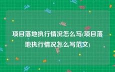 项目落地执行情况怎么写(项目落地执行情况怎么写范文)