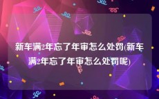 新车满2年忘了年审怎么处罚(新车满2年忘了年审怎么处罚呢)
