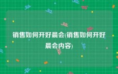 销售如何开好晨会(销售如何开好晨会内容)