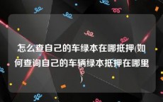 怎么查自己的车绿本在哪抵押(如何查询自己的车辆绿本抵押在哪里)