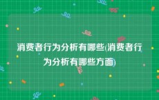 消费者行为分析有哪些(消费者行为分析有哪些方面)