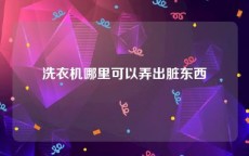 洗衣机哪里可以弄出脏东西