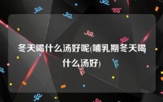 冬天喝什么汤好呢(哺乳期冬天喝什么汤好)