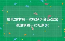 婴儿加米粉一次吃多少合适(宝宝添加米粉一次吃多少)