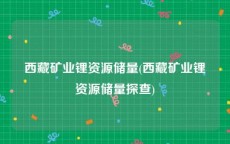 西藏矿业锂资源储量(西藏矿业锂资源储量探查)