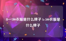 H—500衣服是什么牌子 h-500衣服是什么牌子