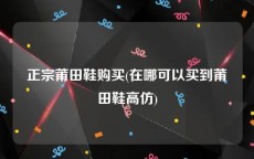 正宗莆田鞋购买(在哪可以买到莆田鞋高仿)