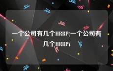 一个公司有几个HRBP(一个公司有几个HRBP)