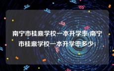 南宁市桂鼎学校一本升学率(南宁市桂鼎学校一本升学率多少)