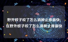 野外蚊子咬了怎么消肿止痒最快(在野外蚊子咬了怎么消肿止痒最快)
