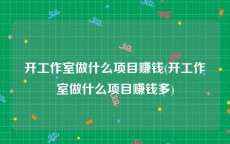 开工作室做什么项目赚钱(开工作室做什么项目赚钱多)