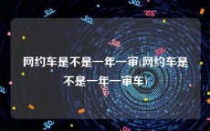 网约车是不是一年一审(网约车是不是一年一审车)