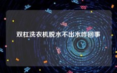 双杠洗衣机脱水不出水咋回事
