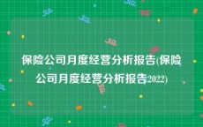 保险公司月度经营分析报告(保险公司月度经营分析报告2022)