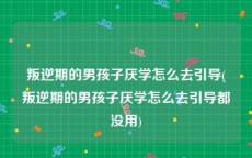 叛逆期的男孩子厌学怎么去引导(叛逆期的男孩子厌学怎么去引导都没用)