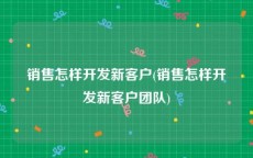 销售怎样开发新客户(销售怎样开发新客户团队)