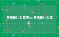 低端是什么意思(zm低端是什么意思)