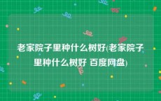 老家院子里种什么树好(老家院子里种什么树好 百度网盘)