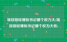 项目部经理和书记哪个权力大(项目部经理和书记哪个权力大些)