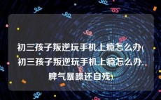 初三孩子叛逆玩手机上瘾怎么办(初三孩子叛逆玩手机上瘾怎么办,脾气暴躁还自残)