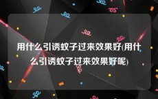 用什么引诱蚊子过来效果好(用什么引诱蚊子过来效果好呢)