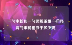 一勺米粉和一勺奶粉重量一样吗(两勺米粉相当于多少奶)