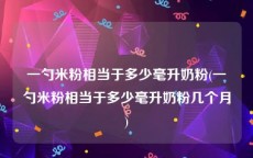 一勺米粉相当于多少毫升奶粉(一勺米粉相当于多少毫升奶粉几个月)