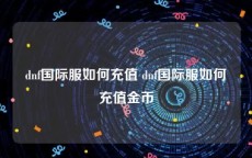 dnf国际服如何充值 dnf国际服如何充值金币
