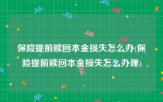 保险提前赎回本金损失怎么办(保险提前赎回本金损失怎么办理)