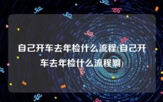 自己开车去年检什么流程(自己开车去年检什么流程啊)