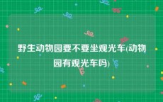 野生动物园要不要坐观光车(动物园有观光车吗)