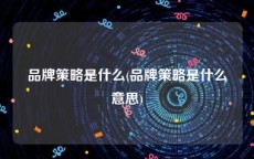 品牌策略是什么(品牌策略是什么意思)