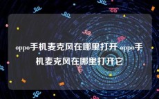 oppo手机麦克风在哪里打开 oppo手机麦克风在哪里打开它