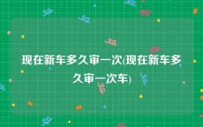现在新车多久审一次(现在新车多久审一次车)