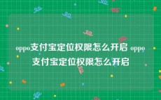 oppo支付宝定位权限怎么开启 oppo支付宝定位权限怎么开启